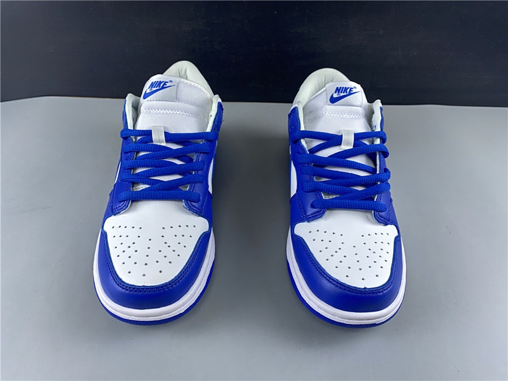 NIKE SB DUNK LOW CU1726-100